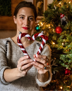Quale albero prendere per un Natale sostenibile?